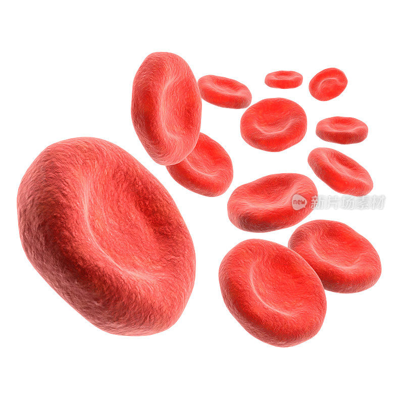 3 d血细胞